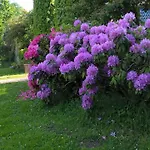 Maison Et Jardin Talinou 3* Montastruc (Hautes-Pyrenees)