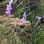 Bed & Breakfast Maison Et Jardin Talinou