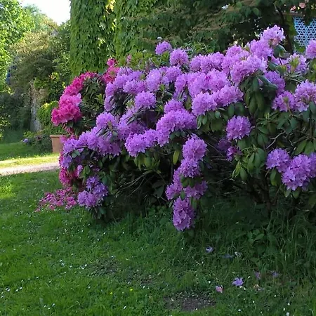 Maison Et Jardin Talinou 3* Montastruc (Hautes-Pyrenees)
