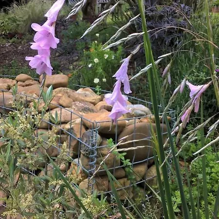 ベッド・アンド・ブレックファスト Maison Et Jardin Talinou