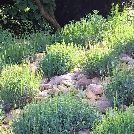 ベッド・アンド・ブレックファスト Maison Et Jardin Talinou