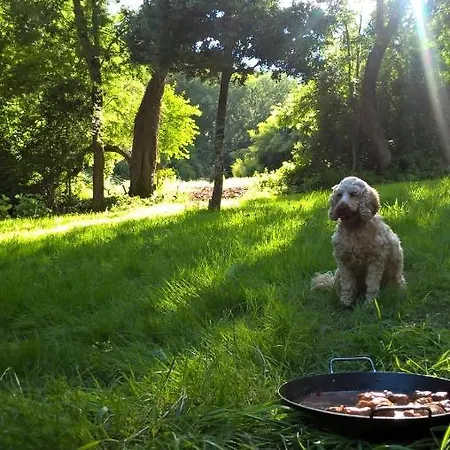 Maison Et Jardin Talinou ベッド・アンド・ブレックファスト