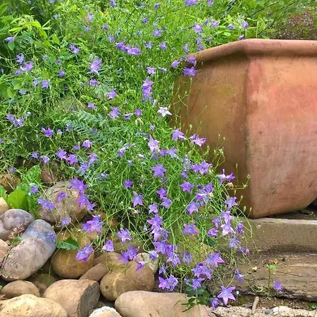Bed & Breakfast Maison Et Jardin Talinou *