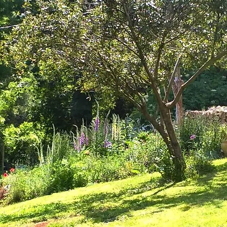 Maison Et Jardin Talinou * Montastruc (Hautes-Pyrenees)