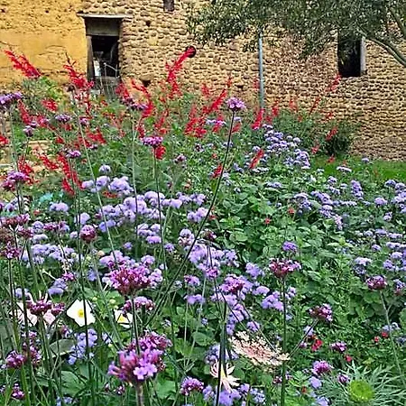 Bed & Breakfast Maison Et Jardin Talinou