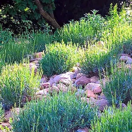 Maison Et Jardin Talinou Bed & Breakfast 3*