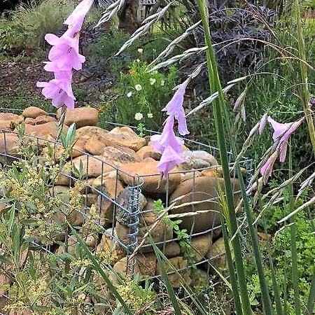 Maison Et Jardin Talinou Montastruc (Hautes-Pyrenees)