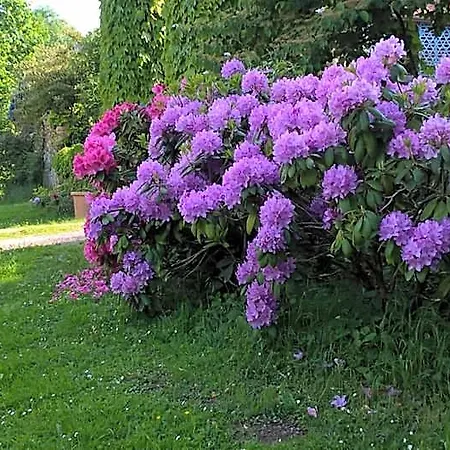 Maison Et Jardin Talinou Bed & Breakfast